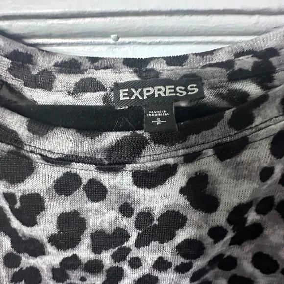 Express - Picture 3 of 3